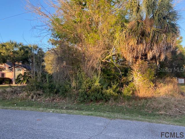 63 Flemingwood Ln., Palm Coast, FL 32137