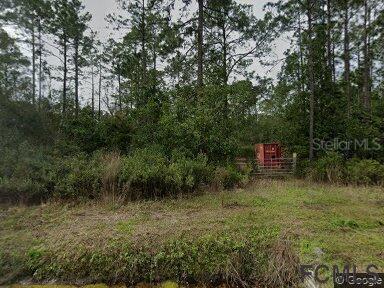 10625 Amos Ave., Hastings, FL 32145