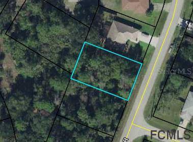 161 Pine Grove Dr., Palm Coast, FL 32164