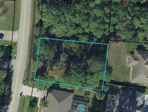 29 Pineland Ln., Palm Coast, FL 32164