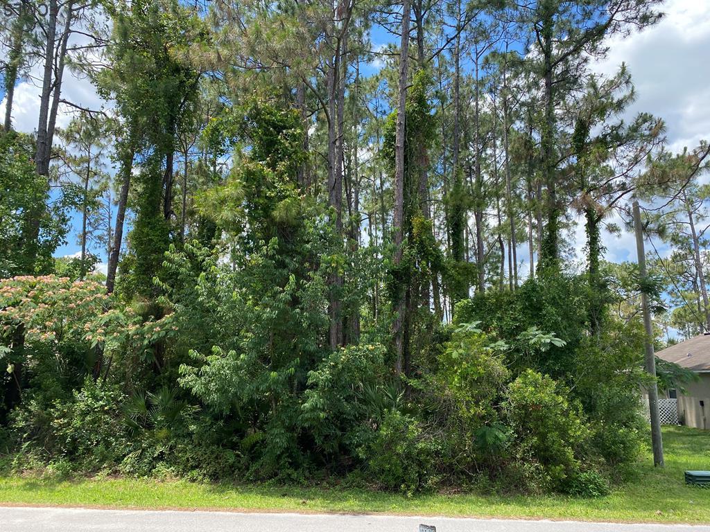 143 Belleaire Dr., Palm Coast, FL 32137