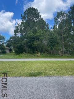 32 Buffalo Meadow Ln., Palm Coast, FL 32137
