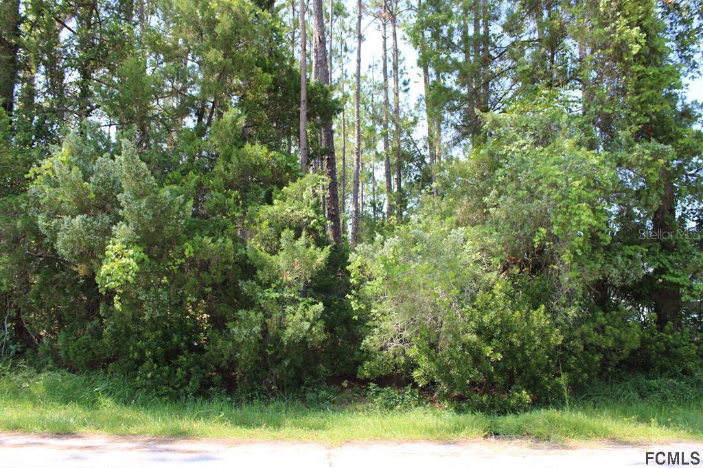 10 Robin Hood Ln., Palm Coast, FL 32164