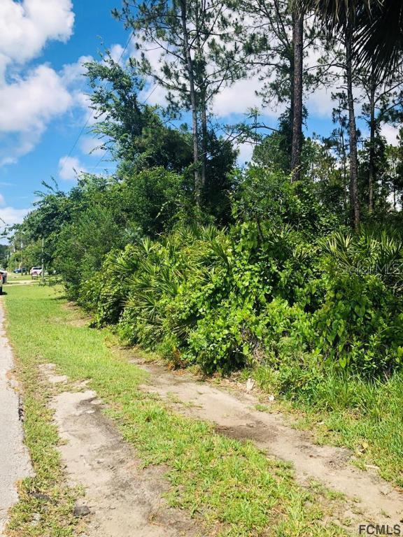 54 Ramblewood Dr., Palm Coast, FL 32164
