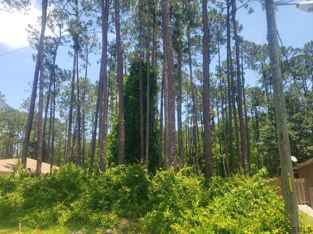 44 Utica Path, Palm Coast, FL 32164