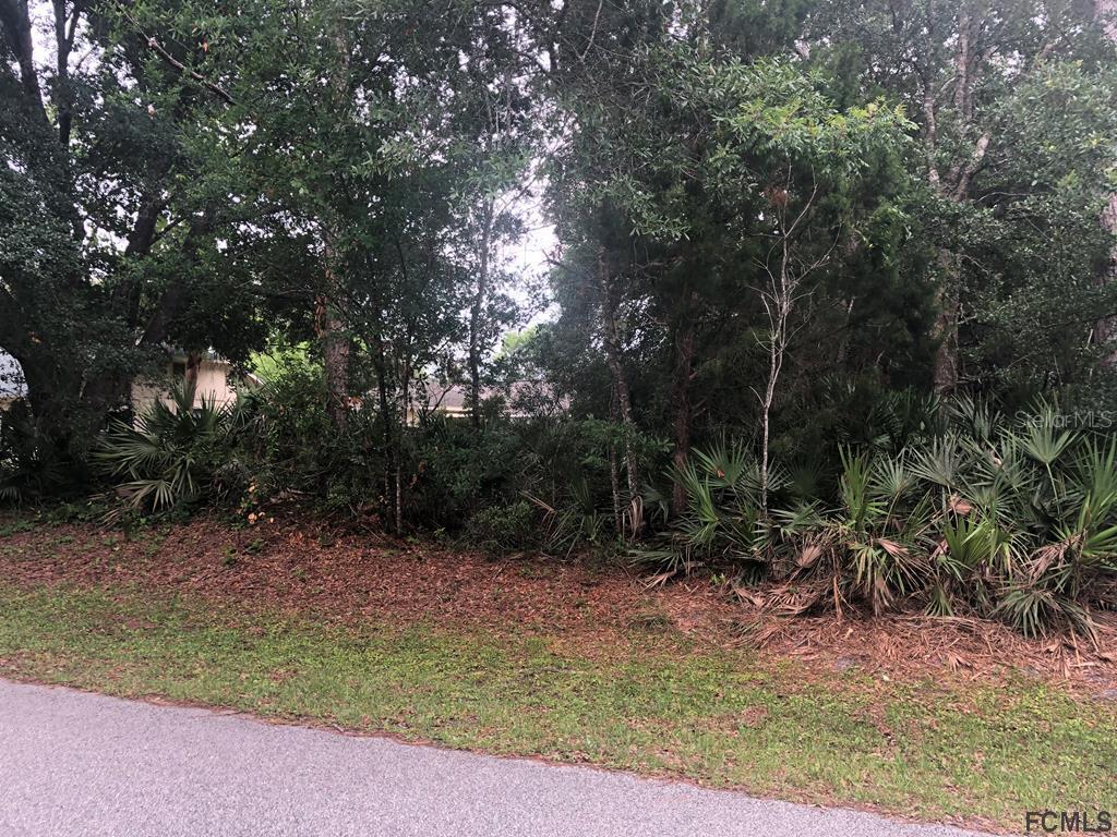 12 White Hall Dr., Palm Coast, FL 32164