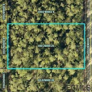 9975 Amos Ave., Hastings, FL 32145