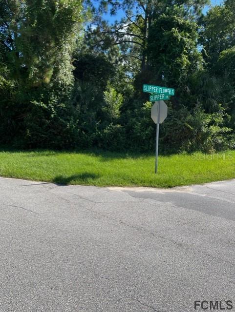1 Slipper Flower Path, Palm Coast, FL 32164