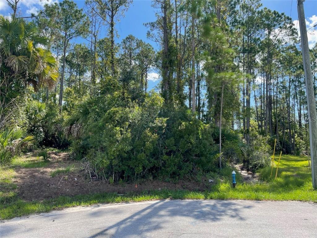 19 Smokehouse Pl., Palm Coast, FL 32164