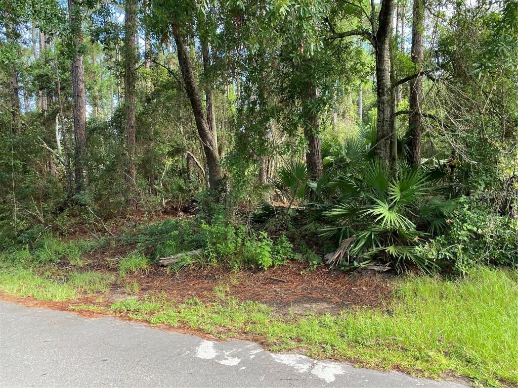 46 Rymer Ln., Palm Coast, FL 32164