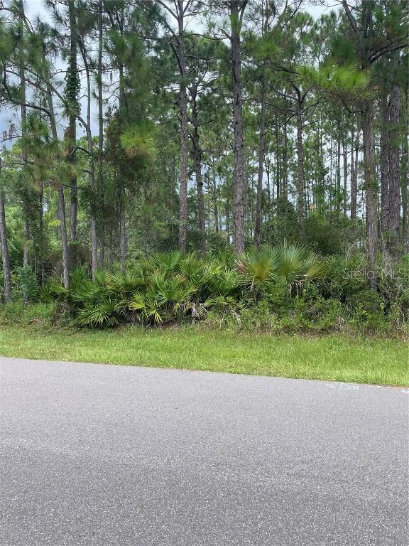 100 Ryan Dr., Palm Coast, FL 32164