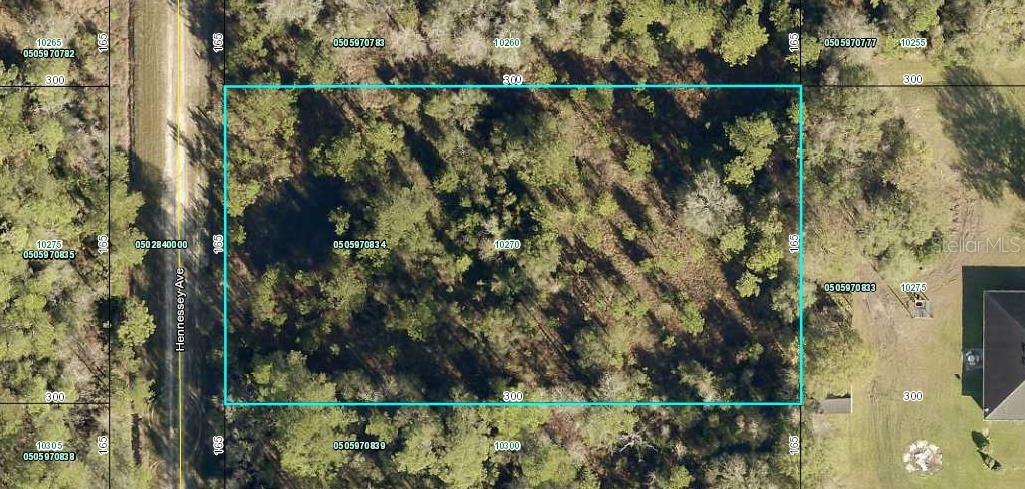 10270 Hennessey Ave., Hastings, FL 32145