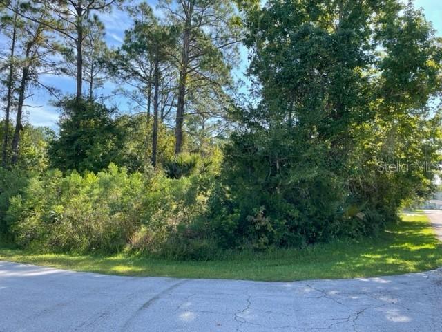 2 Randou Pl., Palm Coast, FL 32164