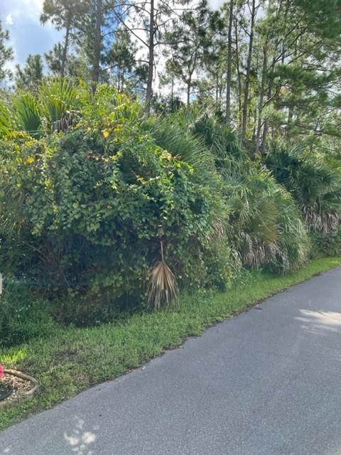 85 Whittington Dr., Palm Coast, FL 32164