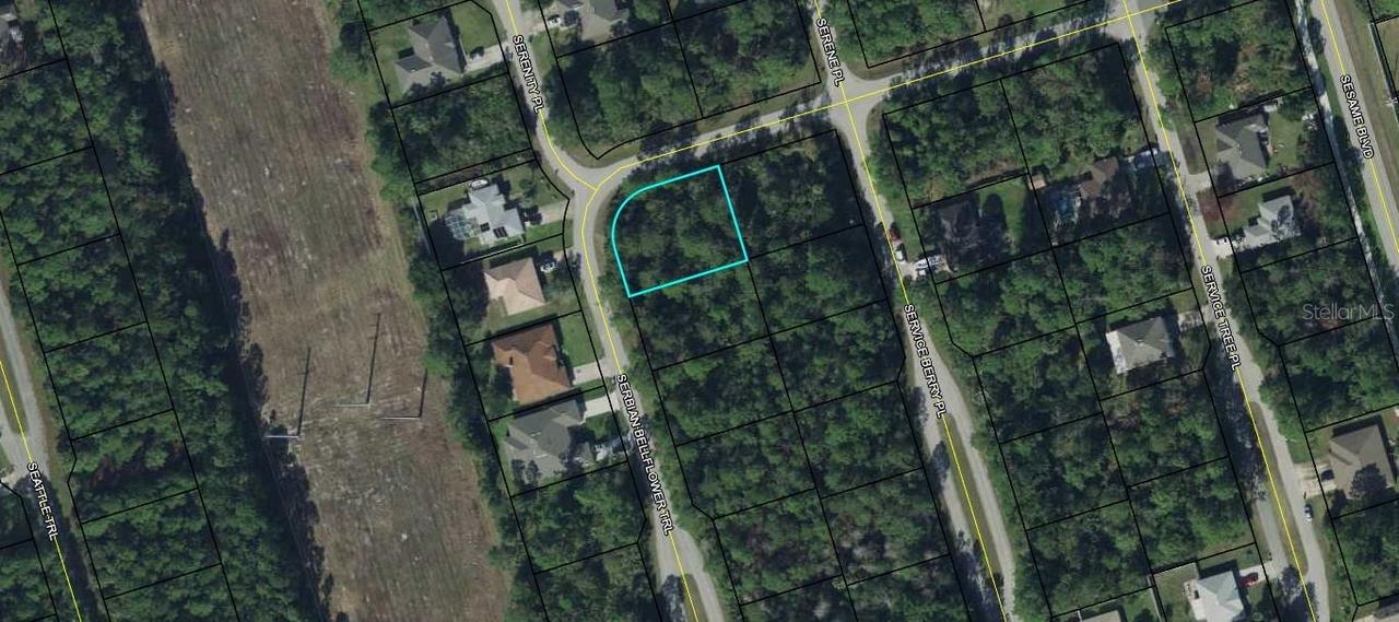 9 Serbian Bellflower Tr., Palm Coast, FL 32164