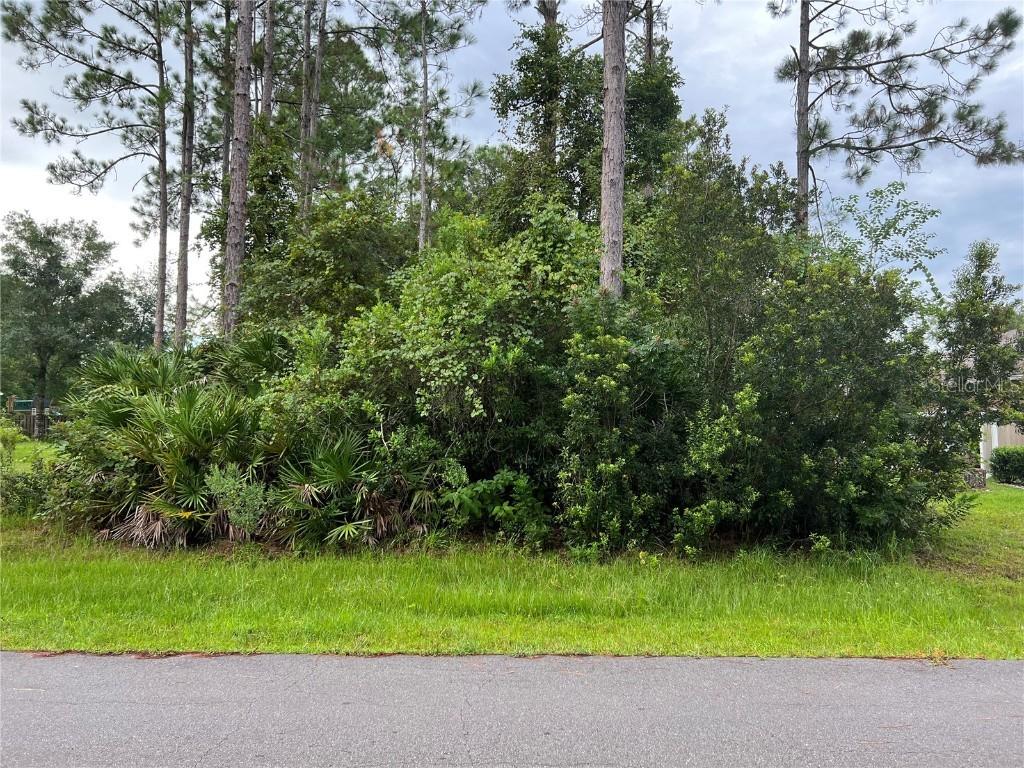 51 Renshaw Dr., Palm Coast, FL 32164