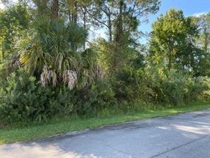 23 Rosepetal Ln., Palm Coast, FL 32164