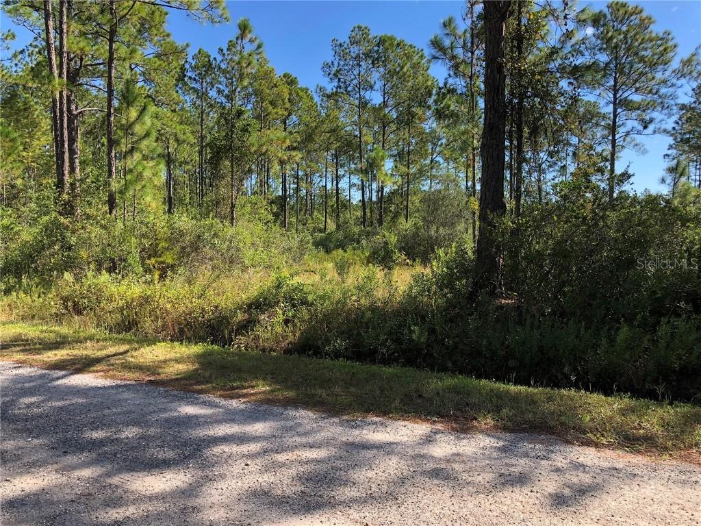 10540 Dillon Ave, Hastings, FL 32145