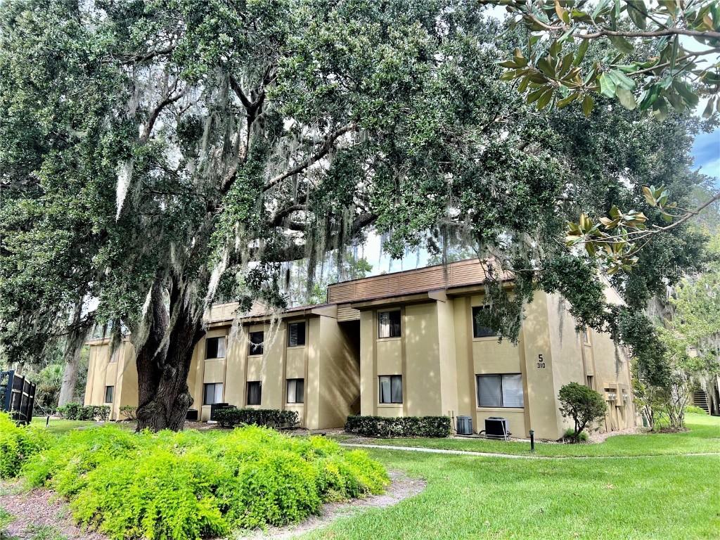 310 Palm Coast Pkwy. #202, Palm Coast, FL 32137