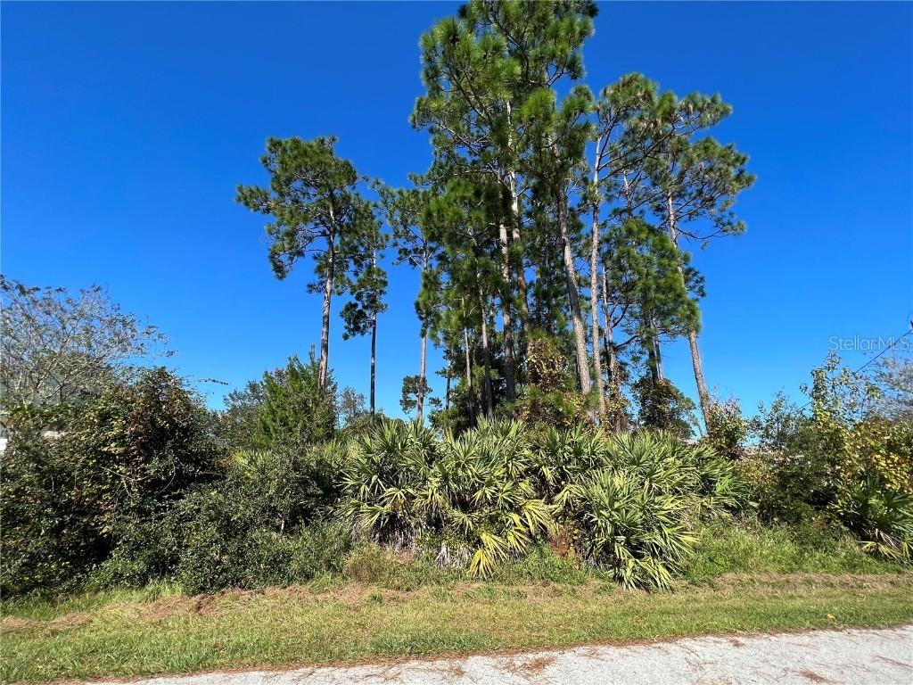92 Forsythe Ln., Palm Coast, FL 32137