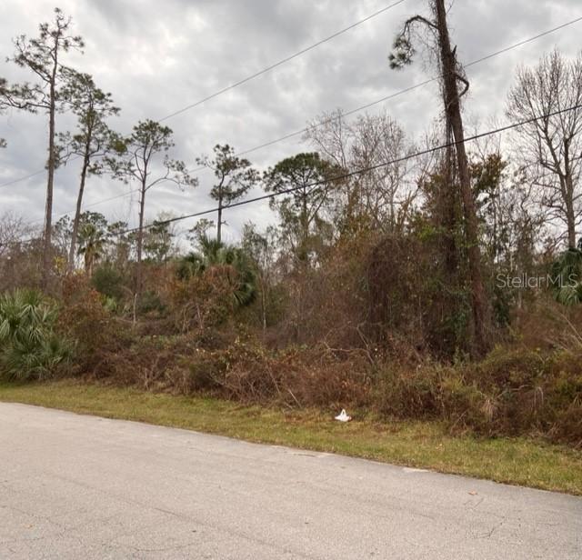 37 Zephyr Lily Tr., Palm Coast, FL 32164