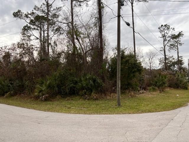 35 Zephyr Lily Tr., Palm Coast, FL 32164