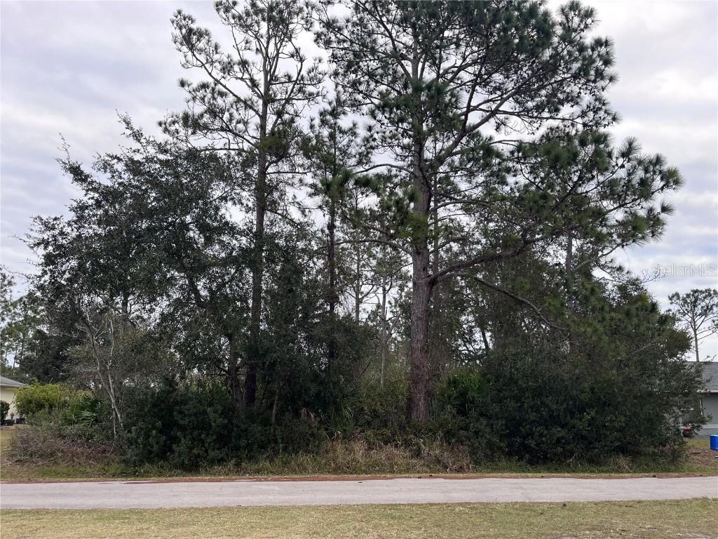 25 Sea Flower Path, Palm Coast, FL 32164