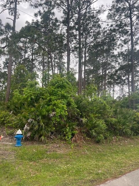 8 Poinsettia Ln., Palm Coast, FL 32164