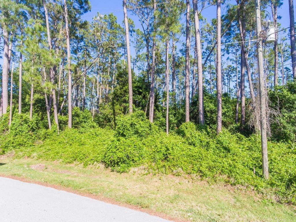 94 Brushwood Ln., Palm Coast, FL 32137