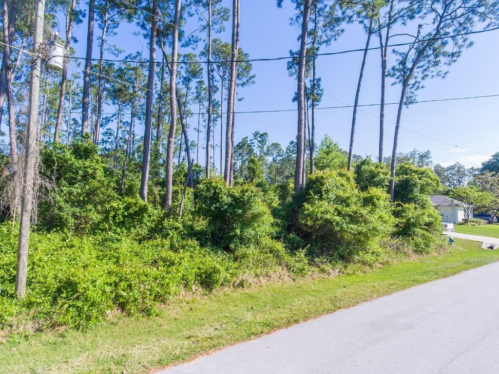 92 Brushwood Ln., Palm Coast, FL 32137