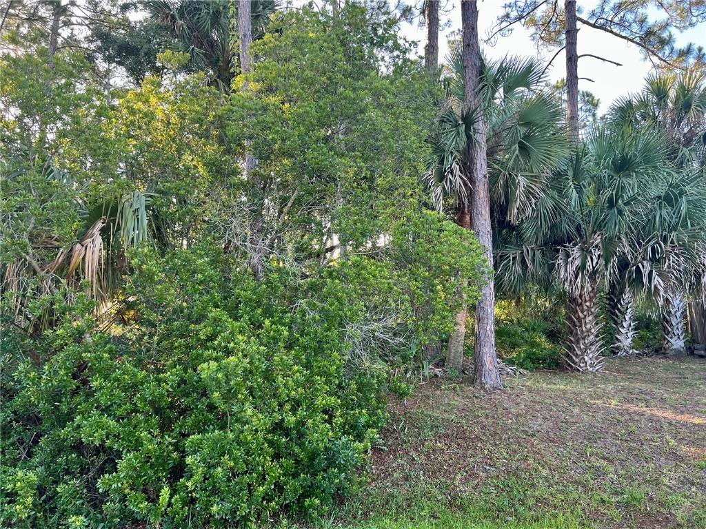 20 Smoke Tree Pl., Palm Coast, FL 32164
