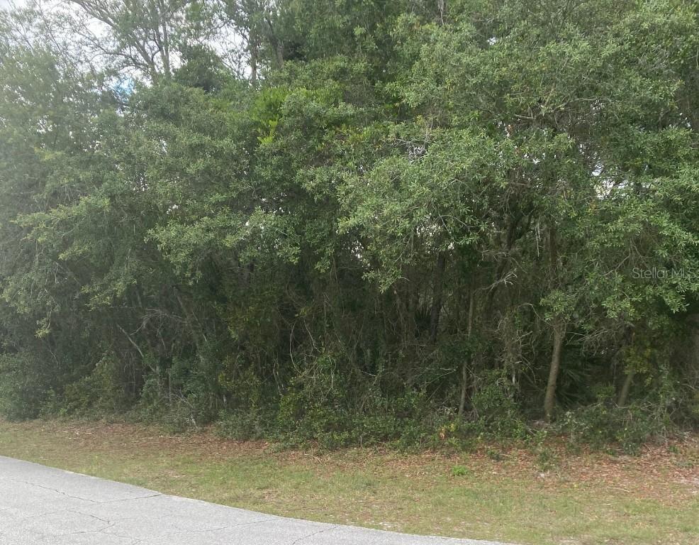 35 Ferndale Ln., Palm Coast, FL 32137