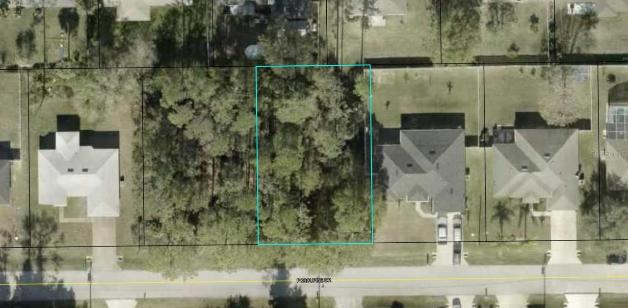 35 Porcupine Dr., Palm Coast, FL 32164