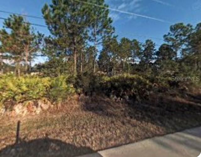 11 Seaton Valley Path, Palm Coast, FL 32164