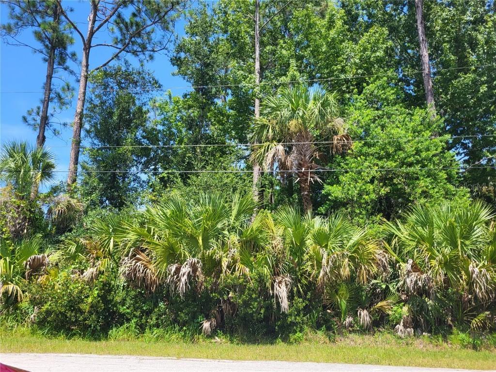 9 Pinelark Ln., Palm Coast, FL 32164
