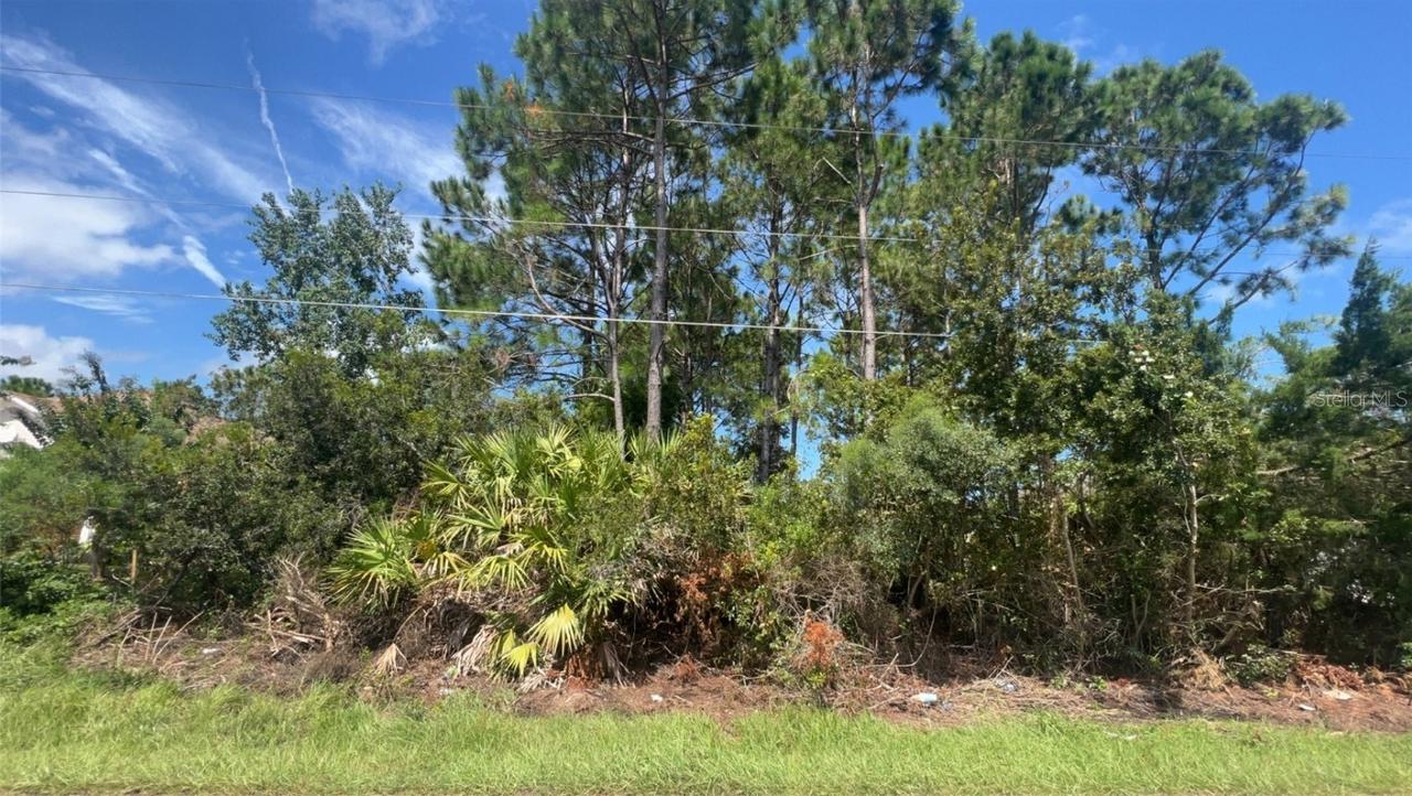 100 Bud Hollow Dr., Palm Coast, FL 32137