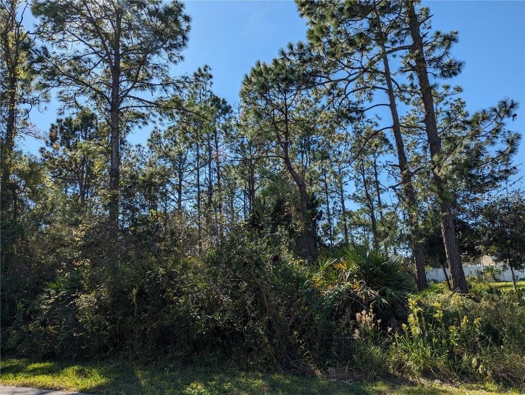 8 Sedgefield Path, Palm Coast, FL 32164