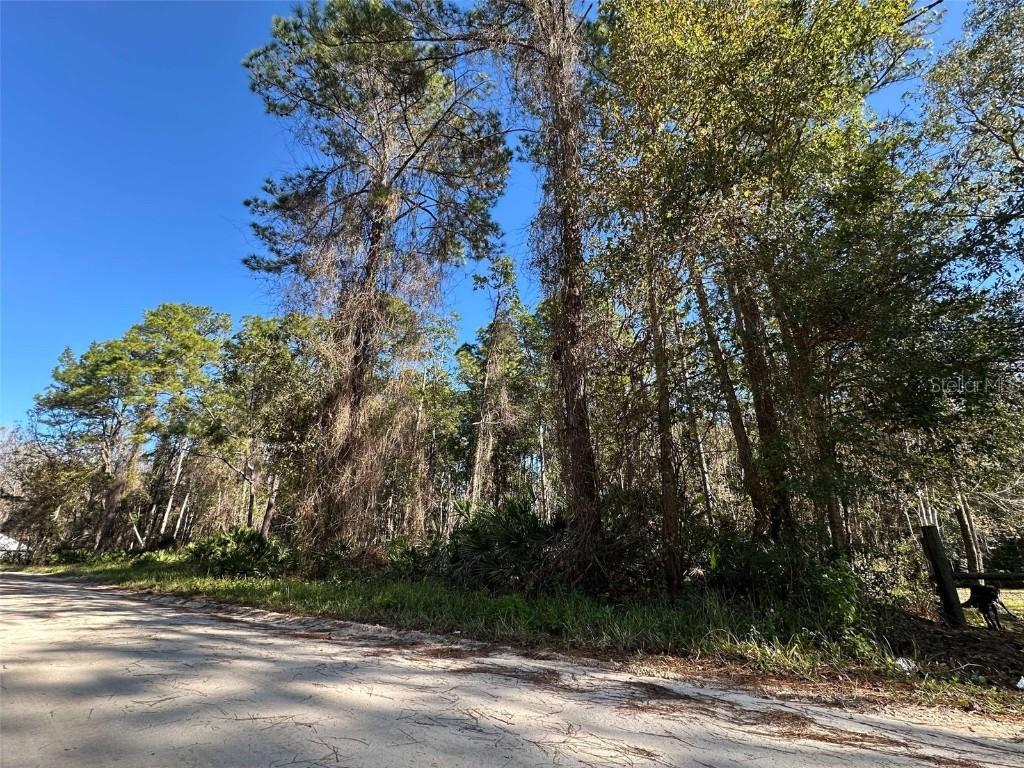220 Amberjack St., Satsuma, FL 32189