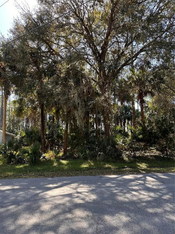 42 Poplar Dr., Palm Coast, FL 32164