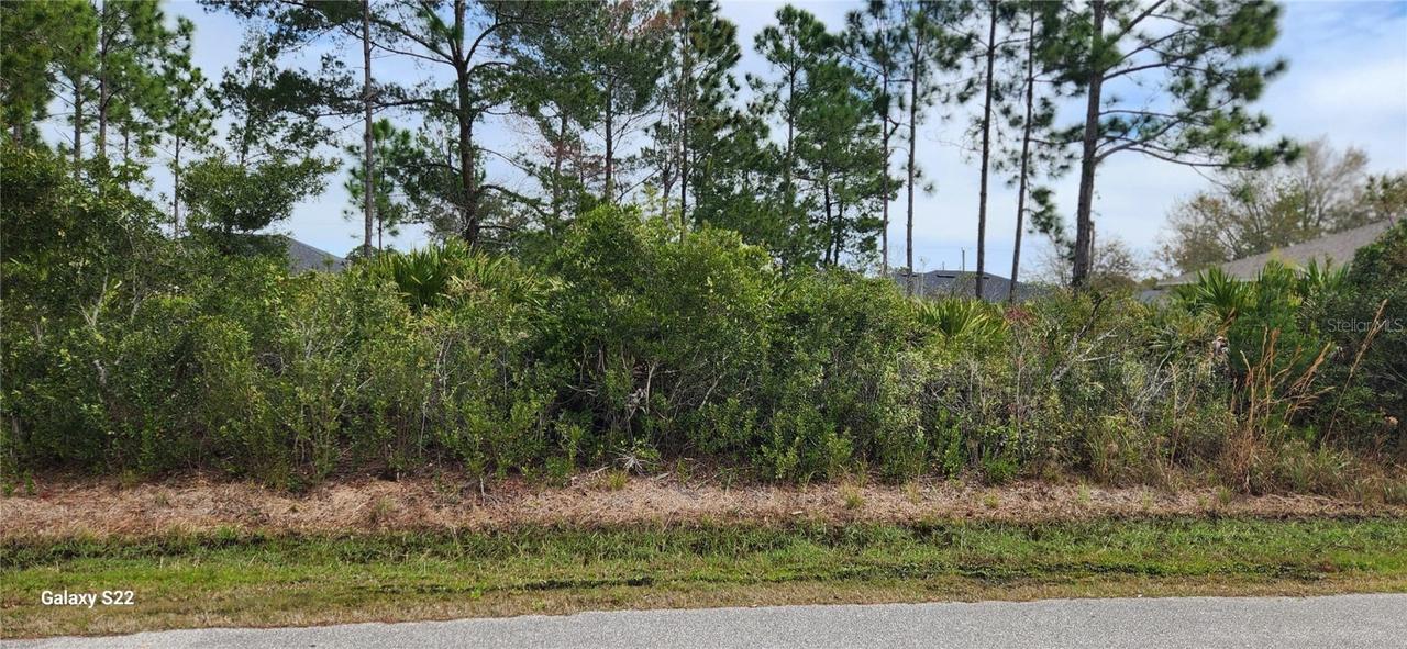 44 Freneau Ln., Palm Coast, FL 32137