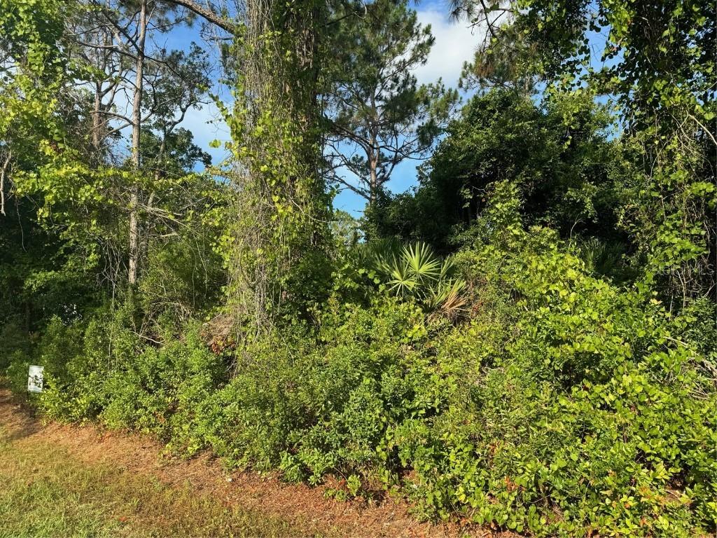 4 Russkin Ln., Palm Coast, FL 32164
