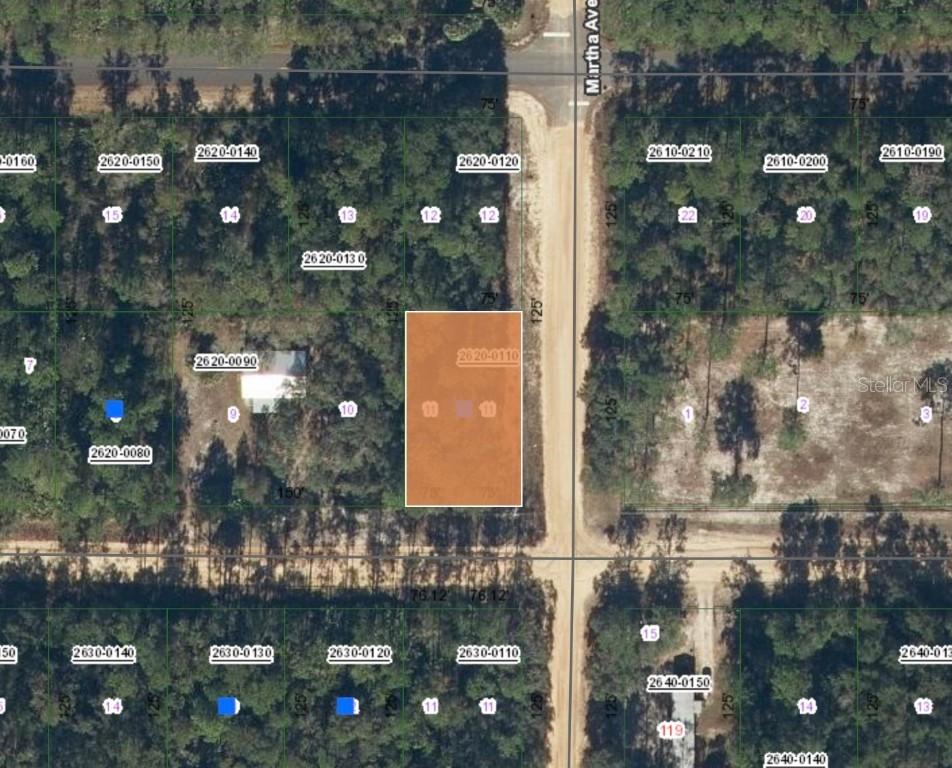 xx Davis St., Interlachen, FL 32148