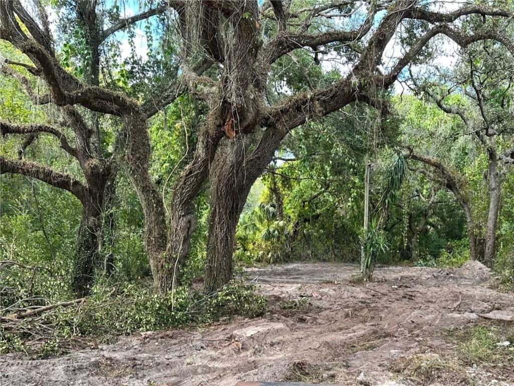9505 Merton St., New Port Richey, FL 34654