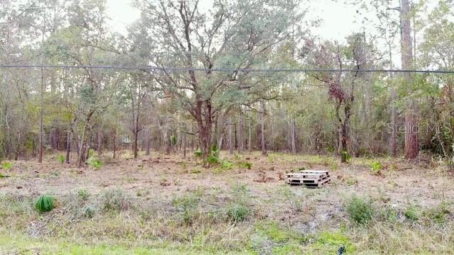 2916 Palm Ave., Bunnell, FL 32110