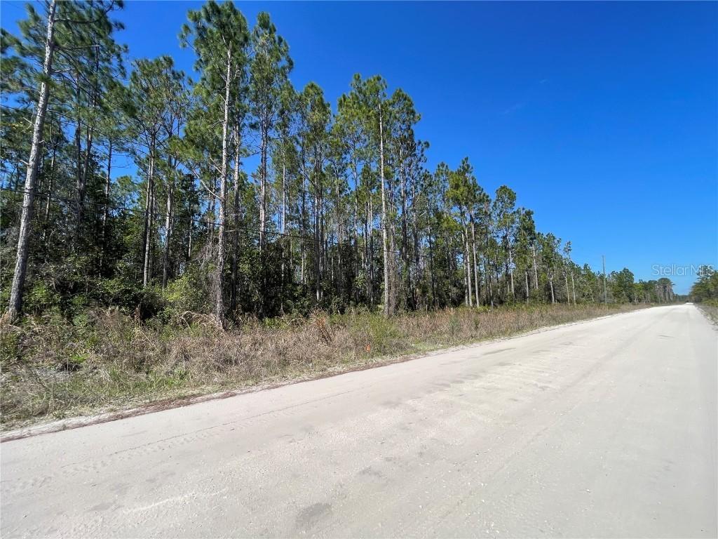 Chesser Hammock Rd., Pierson, FL 32180