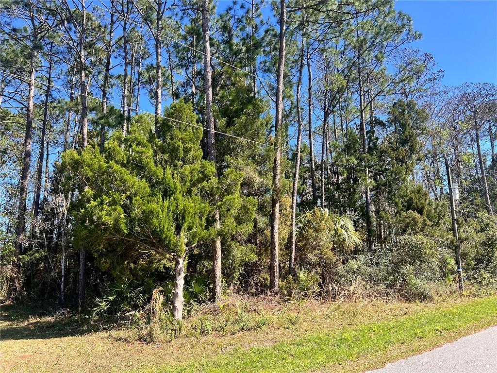 179 Ullian Tr., Palm Coast, FL 32164