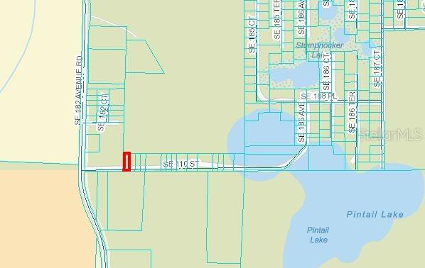 Se 110th St., Ocklawaha, FL 32179