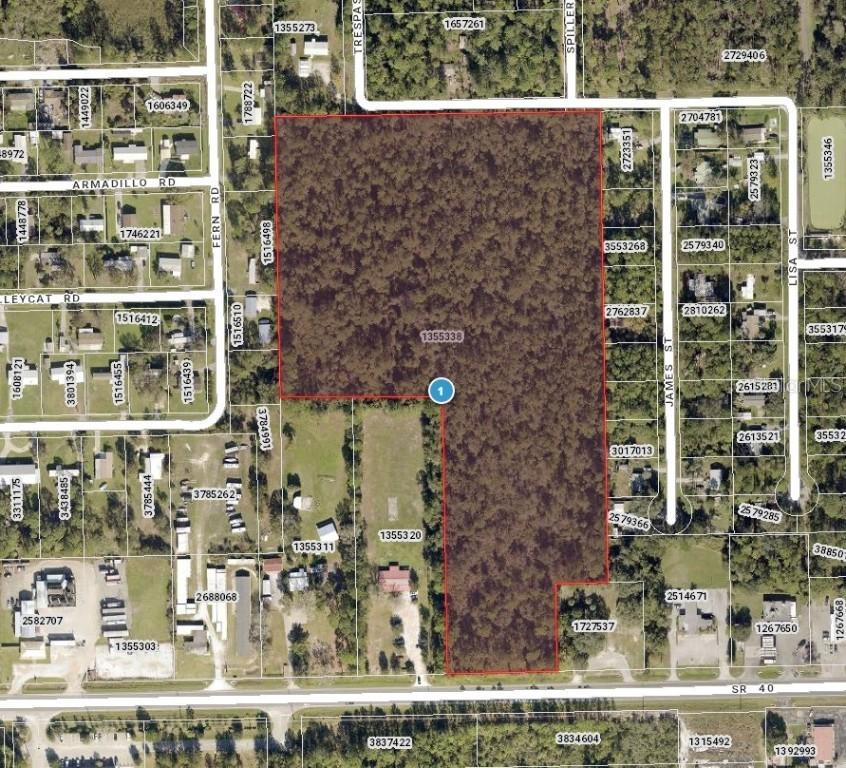 Sr-40, Astor, FL 32102