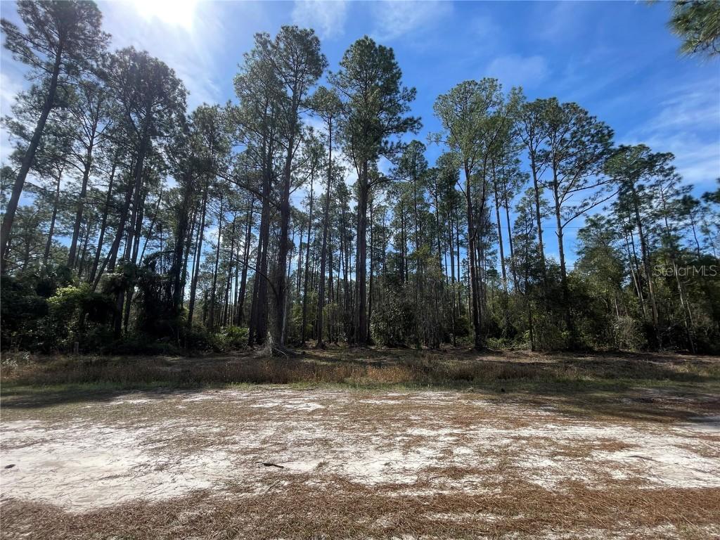 105 Rosewood St., Georgetown, FL 32139