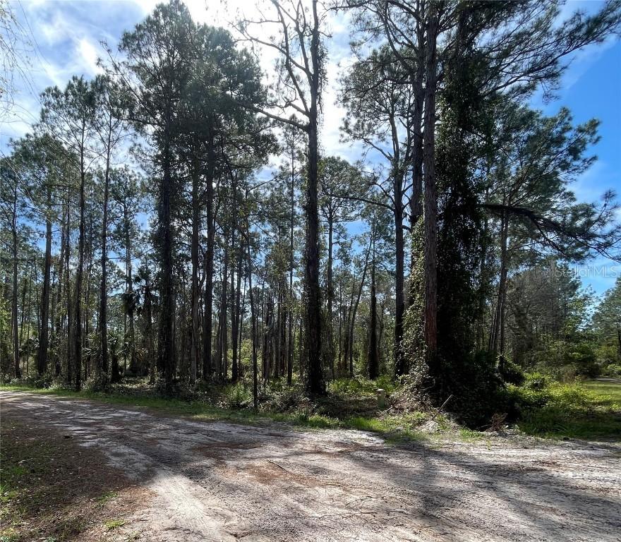107 Rosewood St., Georgetown, FL 32139